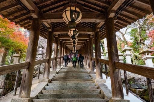 第8番 長谷寺 登廊